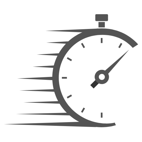 Fast Icon